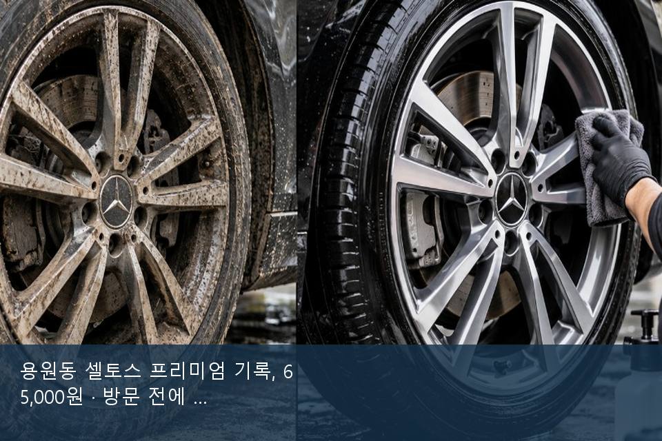 용원동 셀토스 프리미엄 기록, 65,000원 · 방문 전에 확인한 것